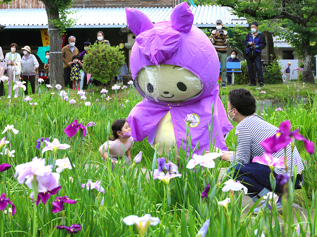 知立公園花しょうぶまつり